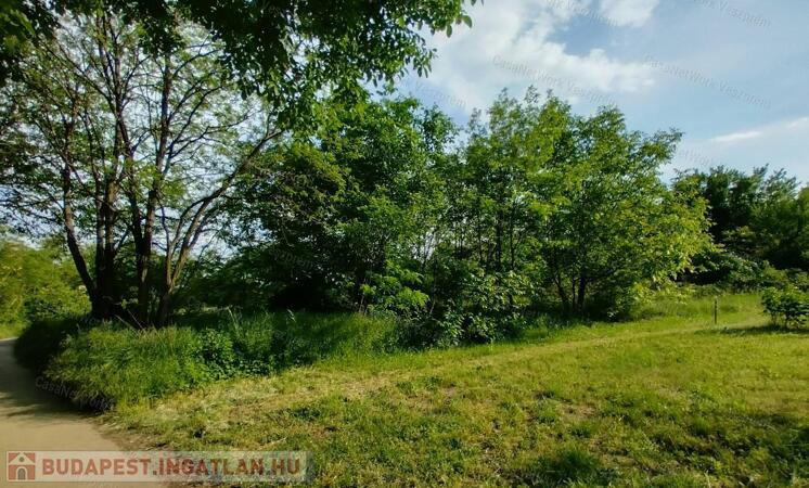 Eladó a Velencei tó mellett Sukorón elhelyezkedő Zártkerti ingatlan!                                 