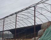 Eladó ipari ingatlan Lébény 99 999 000 Ft