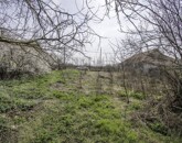 Eladó telek/földterület Hernádnémeti 6 200 000 Ft