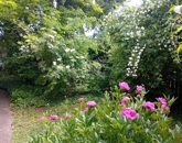 Eladó családi ház Gödöllő 105 000 000 Ft