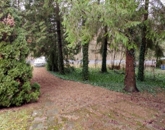 Eladó telek/földterület Nógrádszakál 17 000 000 Ft