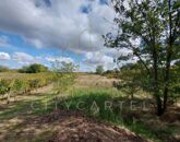 Eladó telek/földterület Bölcske 2 900 000 Ft