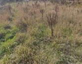 Eladó építési telek, Nagykáta