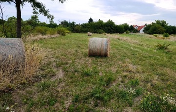 Eladó telek/földterület