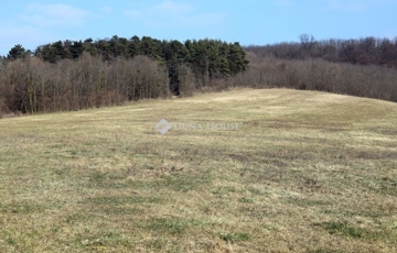 Eladó telek/földterület