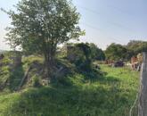 Kivételes lehetőség