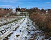 Település szélén -eladó MEZŐGAZDASÁGI TERÜLET BALATONCSICSÓN