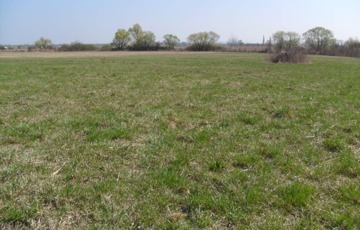 Eladó telek/földterület