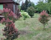 Eladó újszerű hétvégi faházas nyaraló 1100m2-es telken a Patkó utcában