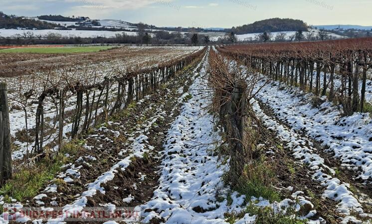 Település szélén -eladó MEZŐGAZDASÁGI TERÜLET BALATONCSICSÓN                                 