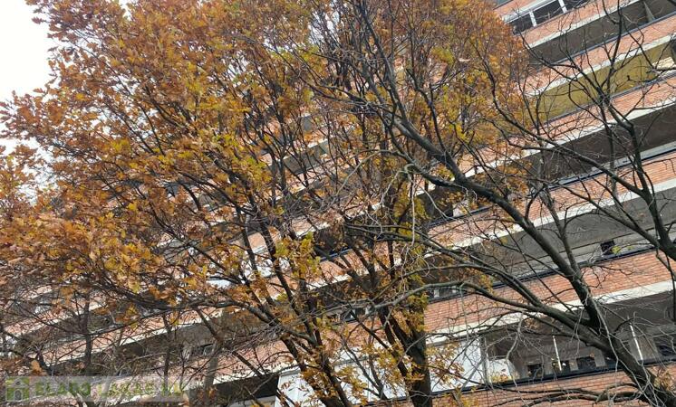 Szolnokon a Vitéz Szathmáry József úton  2 szobás lakás eladó!                                 