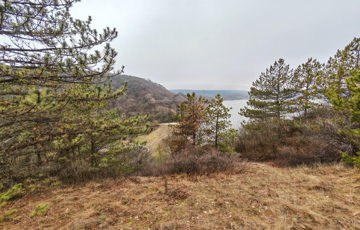 Eladó telek/földterület