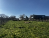 Eladó telek/földterület Villány 35 000 000 Ft