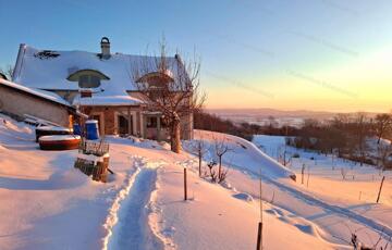 Eladó ipari ingatlan