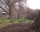 Eladó telek/földterület Vajta 5 000 000 Ft