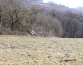 Eladó telek/földterület Alsónemesapáti 55 000 000 Ft