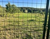 Eladó telek/földterület Várgesztes 6 000 000 Ft