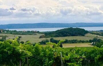 Eladó telek/földterület