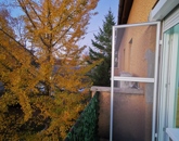 Kiadó lakás Szeged 180 000 Ft