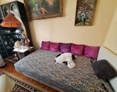 Eladó családi ház Felsőzsolca 37 000 000 Ft