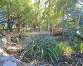 Eladó családi ház Kásád 44 900 000 Ft