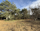 Eladó családi ház Debrecen 110 000 000 Ft