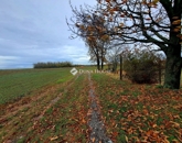 Eladó családi ház Bár 17 500 000 Ft