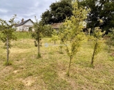 Eladó családi ház Batyk 55 000 000 Ft