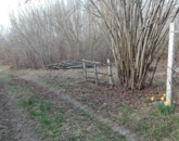 Eladó telek/földterület Ráckeve 5 600 000 Ft