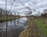 Eladó telek/földterület Nagyigmánd 23 000 000 Ft