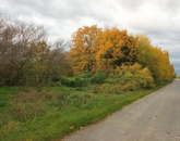 Eladó telek/földterület Türje 3 000 000 Ft