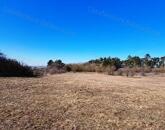 Gazdálkodásra, állattartásra alkalmas mezőgazdasági terület Barnagon