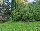 Eladó üdülő/nyaraló Gersekarát 62 000 000 Ft