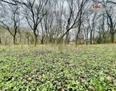 Eladó telek/földterület Budapest II. ker 400 000 000 Ft