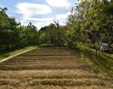 Eladó telek/földterület Sárhida 4 000 000 Ft