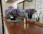 Eladó lakás Pécs 41 500 000 Ft