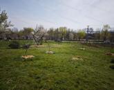 Eladó építési telek Csopakon