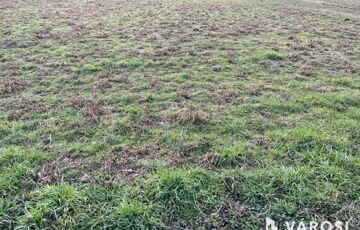 Eladó telek/földterület