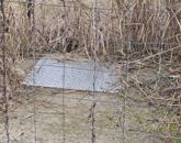 Eladó építési telek Kecskéd szívében! Csendes, forgalommentes környezetben!