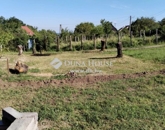 Eladó telek/földterület Mohács 2 900 000 Ft