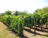 Eladó családi ház Lovasberény 129 000 000 Ft