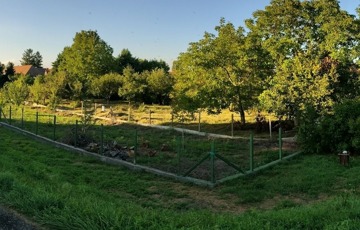 Eladó telek/földterület