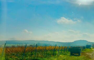 Eladó telek/földterület