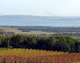 Csodálatos kilátást keresel a Balatonra? MEGTALÁLTAD !!