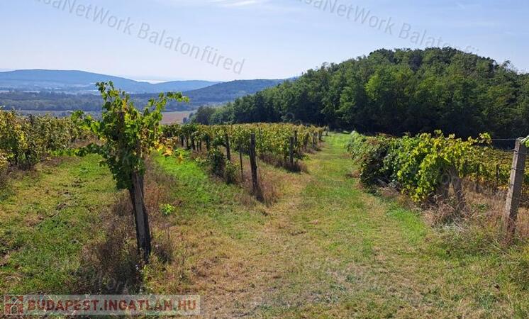 Építhető, tájpanorámás-eladó ZÁRTKERT MINDSZENTKÁLLA                                 