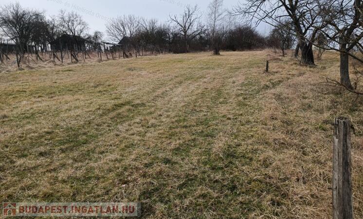 Oroszlányon belterületi építési telek eladó!                                 