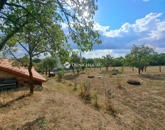 Eladó családi ház Nagyharsány 69 900 000 Ft