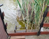 Eladó üdülő/nyaraló Békés 7 900 000 Ft