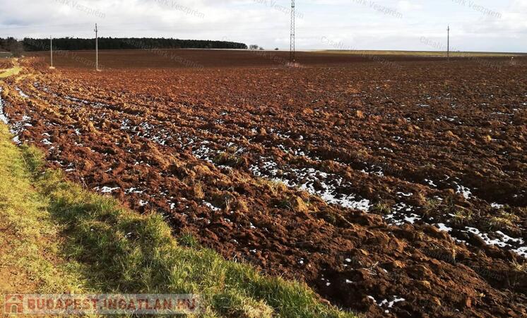 Eladó szántó Szentgál                                 