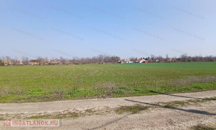 Eladó Tiszaföldváron egy  3310 m2-es építési telek.